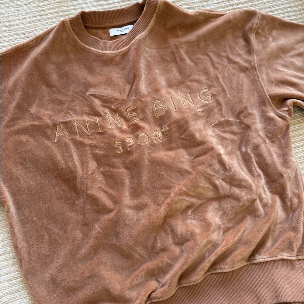 Anine Bing Sport Tan Velour Sweatshirt and Joggers - Picture 2 of 3